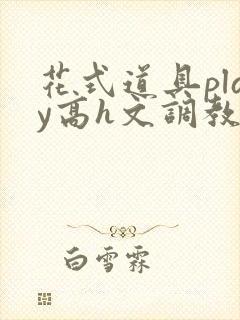 花式道具play高h文调教