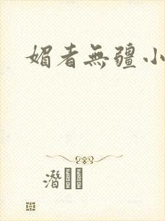 媚者无疆小说封面