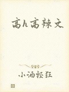 高h高辣文