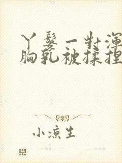 丫鬟一对浑圆的胸乳被揉捏小说封面