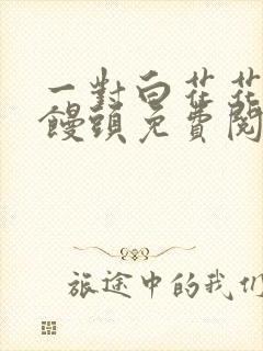 一对白花花的大馒头免费阅读