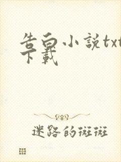 告白小说txt下载