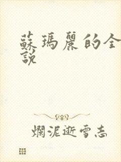 苏玛丽的全部小说