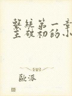 系统第一章给宿主破初的小说