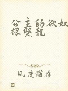 公主的欲奴h四根双龙