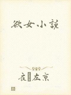 欲女小说封面