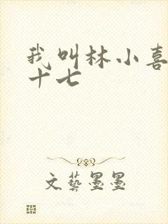 我叫林小喜今年十七
