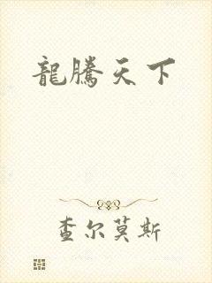 龙腾天下