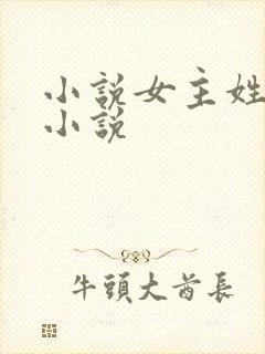 小说女主姓林的小说