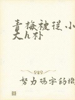 青梅被从小摸到大h补