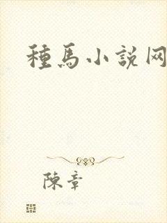 种马小说网