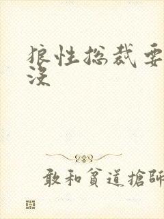 狼性总裁要够了没