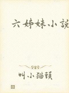 六姊妹小说