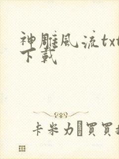 神雕风流txt下载