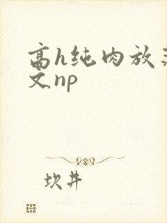 高h纯肉放荡h文np封面