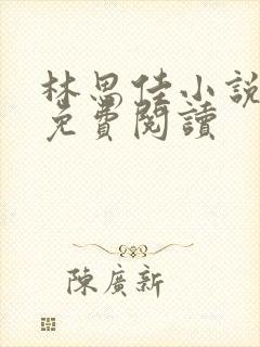 林思佳小说全文免费阅读