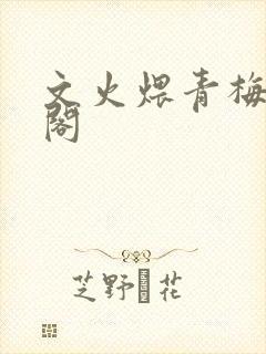 文火煨青梅笔趣阁封面