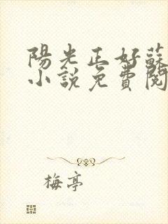 阳光正好苏玥玥小说免费阅读