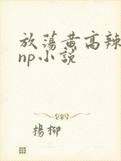 放荡黄高辣h文np小说
