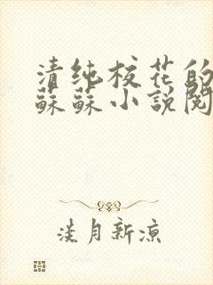 清纯校花的日常苏苏小说阅读全文封面