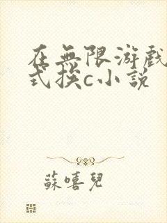 在无限游戏里花式挨c小说封面