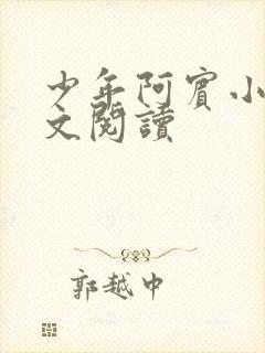 少年阿宾小说全文阅读封面