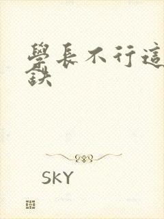 学长不行这是地铁封面