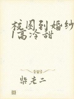 校园到婚纱1V1高冷甜