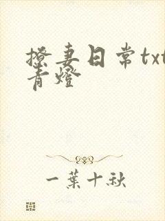 撩妻日常txt青灯