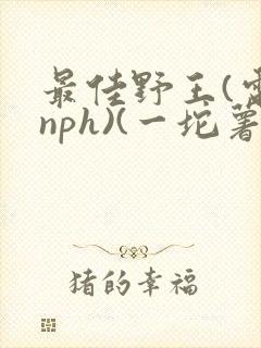 最佳野王(电竞nph)(一坨薯饼)_无拼音封面