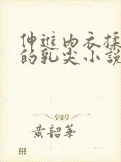 伸进内衣揉捏她的乳尖小说封面