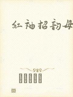 红袖招韵母攻略