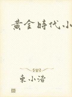 黄金时代小说