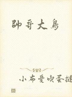 帅哥大鸟