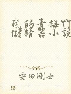 我的青梅竹马是储精器小说