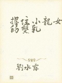 握住小龙女硕大的双乳