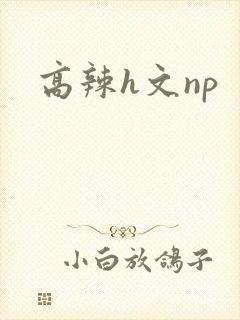高辣h文np
