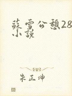 苏雪公憩28篇小说封面
