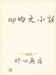np肉文小说