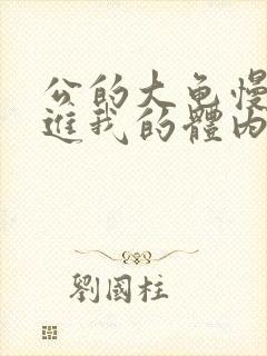 公的大龟慢慢挺进我的体内视频