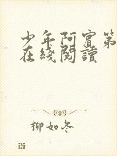 少年阿宾第二部在线阅读