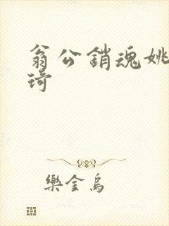 翁公销魂姚瑶琦琦封面