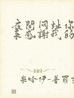 夜间网址你会回来感谢我的封面