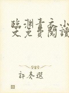 临渊青衣小说全文免费阅读无弹窗