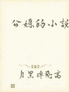 公媳的小说