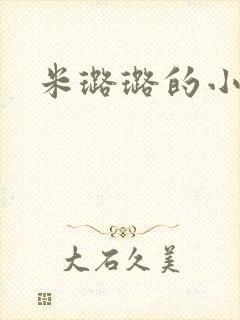 米璐璐的小说封面