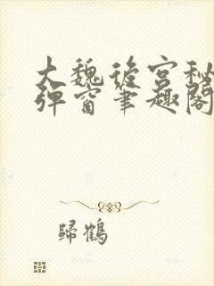 大魏后宫秘史无弹窗笔趣阁封面