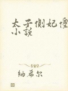 太子侧妃傻乎乎小说