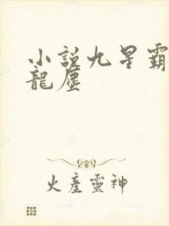 小说九星霸体诀龙尘