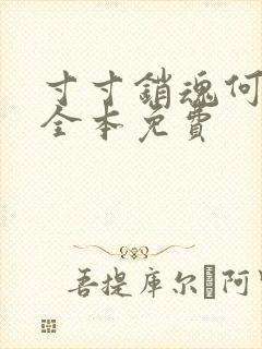 寸寸销魂何生祥全本免费